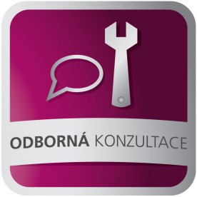 Privátní konzultace